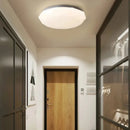 Axyaa Starry Sky LED Ceiling Light for Home Decor