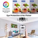 Axyaa Lotus LED Ceiling Lamp - Dimmable Warm/Cold Light, Remote Control, Decorative Art Lighting