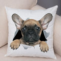 Axyaa Cute Dog Print Pillow Case for Home Decor and Comfort