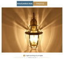 Axyaa Outdoor Brass Wall Lamp: Waterproof IP65 Garden Lighting for Courtyard, Balcony, Porch
