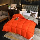Axyaa Winter Duvet - White Goose Down Core, Double Thickened Quilt