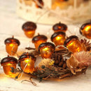 Axyaa Acorn Light String: Luminous Fruit Outdoor Camping and Thanksgiving Decor