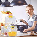 Axyaa Reusable Storage Bags with Handle and Nozzle, Leak Proof Freezer Bag