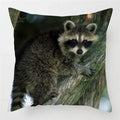 Axyaa Raccoon Wildlife Print Pillowcase for Home Bed Chair Decor