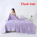 Axyaa Summer Cool Quilt Cold Silk Solid Color Single Double Air Conditioner Quilt