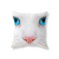 Axyaa Black Cat Cushion Cover for Sofa, Car, Office, Game Chair - Cute & Funny