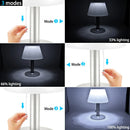 Axyaa Solar Table Lamp Stainless Steel LED Lighting for Indoor Outdoor Use