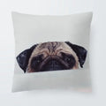 Axyaa Sanddog Shar Pei Polyester Pillow Case Cover 45*45cm