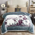 Axyaa Winter Raschel Blanket: High-End Warmth, Double-Sided Flocked Comforter