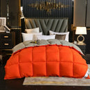 Axyaa Winter Quilted Goose Down Duvet with 100% Cotton Cover