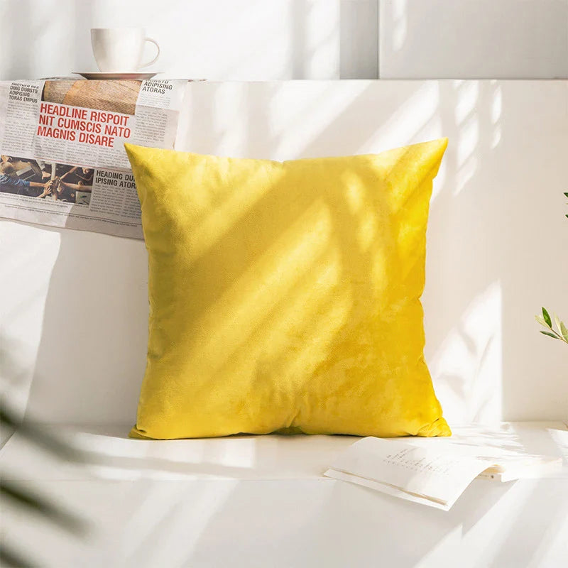 Velvet Cushion Cover for Sofa Living Room, 30x50cm Decorative Pillows by Axyaa