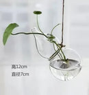 Axyaa Angel Glass Vase for Living Room Decor with Hanging Hydroponic Flowers