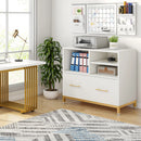 Axyaa White Lateral File Cabinet with Drawer, Adjustable Hanging Rod for Letter/Legal/A4 Files