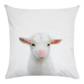 Axyaa Animal Print Cushion Cover Home Decor 45x45CM