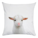 Axyaa Animal Print Cushion Cover Home Decor 45x45CM