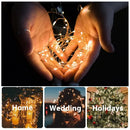 Axyaa LED Fairy Lights Battery Operated Copper Wire String Lights for Outdoor Events