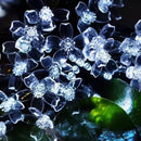 Axyaa Cherry Blossom Solar String Lights: Outdoor Garden Patio Decoration