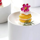 Axyaa Ceramic Dim Sum Dish Cooking Cold Dish Cake Pastry Plate 8.5cm High