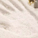Axyaa Plush Oval Bedroom Carpet: Soft, Thick, High-End Living Room Rug