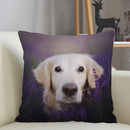 Axyaa Golden Retriever Dog Sofa Pillowcase for home decor