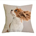 Axyaa Cavalier King Charles Spaniel Sofa Cushion Cover - Home Decor & Party Accessory