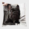 Axyaa French Bulldog Polyester Cushion Cover - Modern Sofa Throw Pillow Cover
