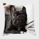 Axyaa French Bulldog Polyester Cushion Cover - Modern Sofa Throw Pillow Cover