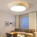 Axyaa Dimmable LED Ceiling Lamp with Remote Control for Energy-efficient Indoor Lighting