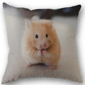 Axyaa Hamster Series Sofa Cushion Cover Pillowcase - Home Party Car Bedding