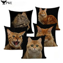 Fat Orange Cat Print Cushion Cover 45x45cm by Axyaa: Animal Pattern Home Decor Pillowcase