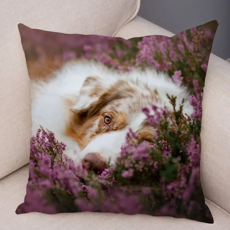 Axyaa Australian Shepherd Pillow Cover - Cute Dog Animal Cushion