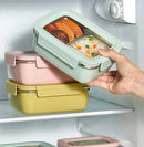 Axyaa Stainless Steel Divided Bento Lunch Box - Large Capacity & Portable