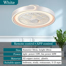 Axyaa Smart Fan Light: Quiet, Eye Protection, LED Ceiling Light, Reversible Blades