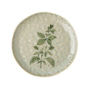 Axyaa Ceramic Shallow Pasta Dish - Restaurant Cake Arrangement