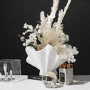 Axyaa Irregular Fan Ceramic Vase for Stylish Flower Arrangement
