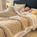 Axyaa Jacquard Taffeta Double Layer Blanket & Pillow Cases Autumn Winter Plush Throw Blanket