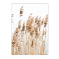 Reed Grass Lake Bike Beach Wall Art Canvas Painting for Living Room Decor by Axyaa
