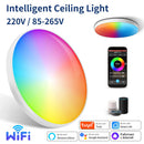 Axyaa 24W WiFi BLE Smart LED Ceiling Light for Alexa Google Home