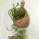 Axyaa Hanging Wall Basket Organizer for Kitchen Garden Storage
