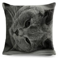 Axyaa Fold Ear Cat Pillow Covers - Set of 2 Cute Pet Pillowcases