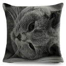 Axyaa Fold Ear Cat Pillow Covers - Set of 2 Cute Pet Pillowcases