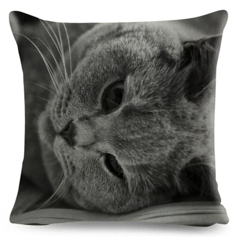 Axyaa Fold Ear Cat Pillow Covers - Set of 2 Cute Pet Pillowcases