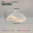 Axyaa Nordic Style Ceiling Light for Cloakroom, Hallway, and Porch