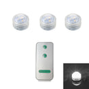 Axyaa Submersible LED Light Remote Pond Waterproof Pool Lamp for Vases Fish Tanks