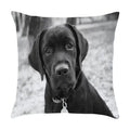 Axyaa Cute Pet Puppies Black and White Art Peach Skin Pillowcase