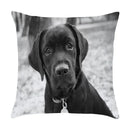 Axyaa Cute Pet Puppies Black and White Art Peach Skin Pillowcase