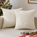 Axyaa Soft Striped Cushion Covers 20x20 Inch for Living Room Decor