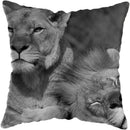 Wild Animals Lions Tigers Cushion Cover - Axyaa Luxury Home Decor
