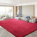 Axyaa Gray Coral Fleece Living Room Rug for Sofa, Coffee Table, Kids Bedroom