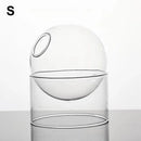 Axyaa Vintage Glass Vase for Tabletop Plants and Flower Arrangements